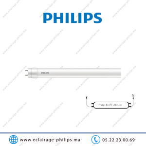 Tube LED T8 Philips Ecofit 22w DE HO 120cm 6500°K Casablanca Maroc