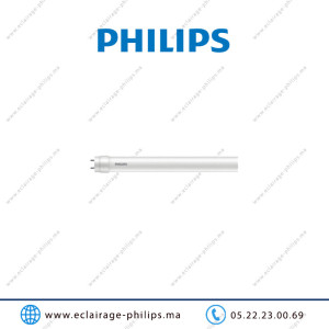 Tube LED T8 Philips Essential 20w HO 120cm 6500°K Casablanca Maroc