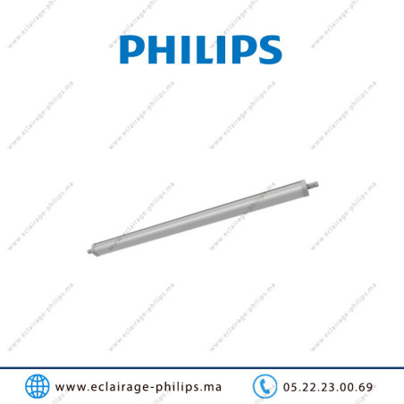 Réglette LED PHILIPS 120cm 30W WT068C CW LED36 6500°K IP66 Casablanca Maroc