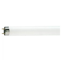 Lampes fluorescentes et starters